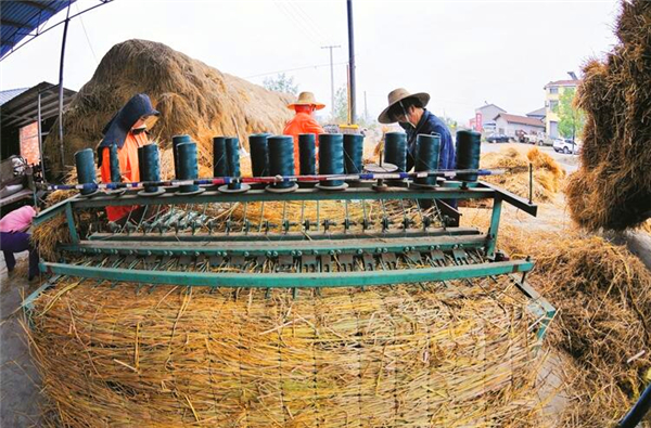 ���ݱ��Ϊ�� �Ȼ���������