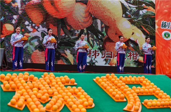 ���������Ƚ�����2017������Ļ����νھ���