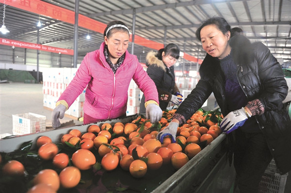 ���ӭ����