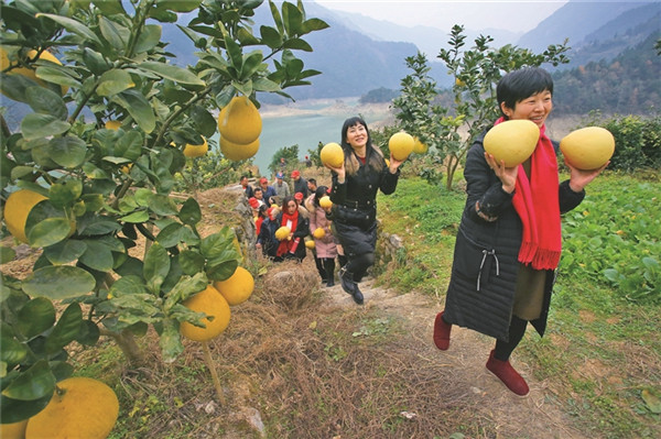 ���֡������ռ��οͷ׷���