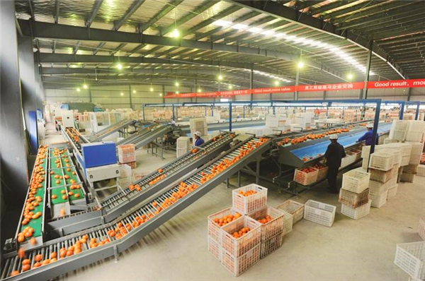 �Ƴ������Ĳ㡱 ���������ٶȡ������˲�ũ��Ʒ�ӹ�ҵ��չ�۲�